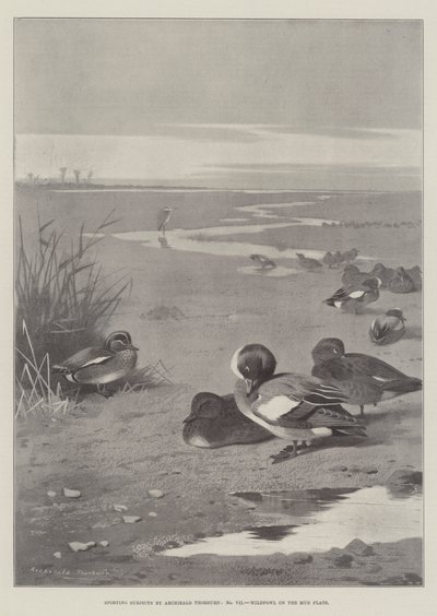 スポーツの主題、干潟の野鳥 作： Archibald Thorburn